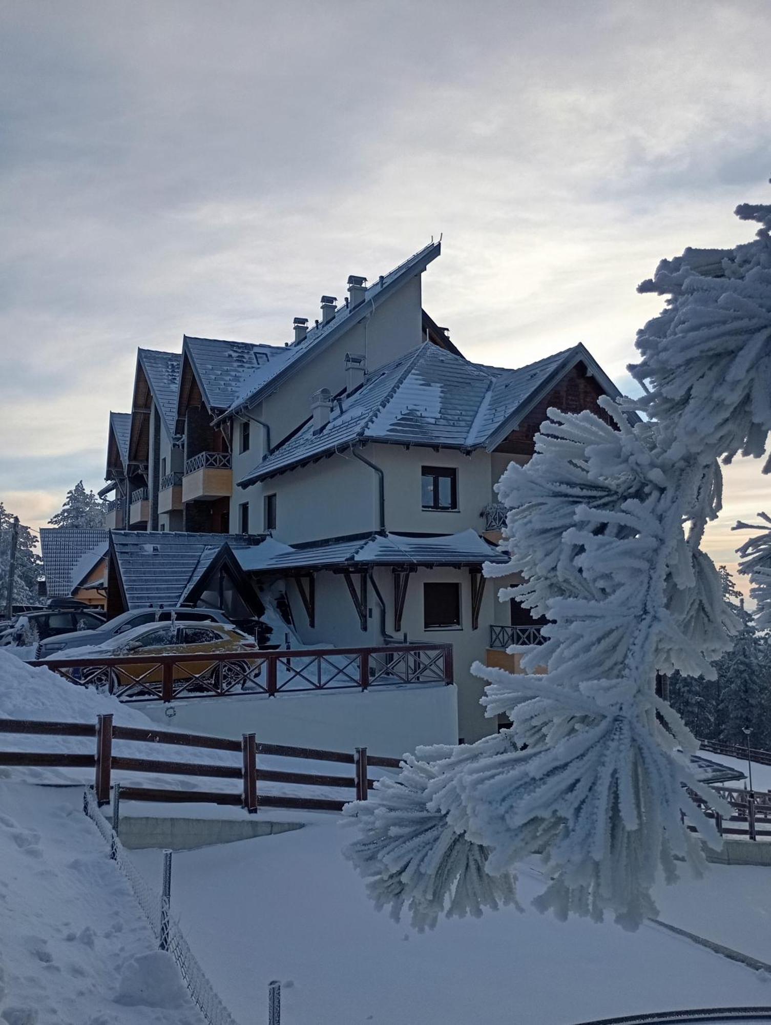 Apartman Pahuljica Tara Kaludjerske Bare Luaran gambar